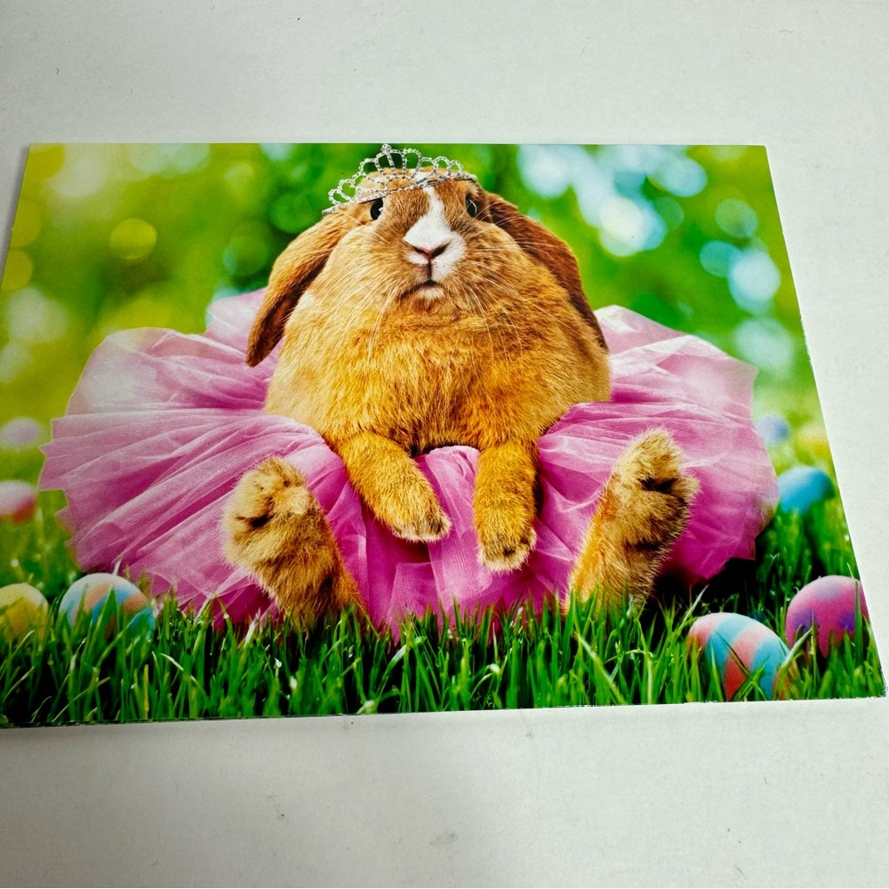 4 Avanti Greeting cards - bunny in ballerina tutu
Holiday: Easter